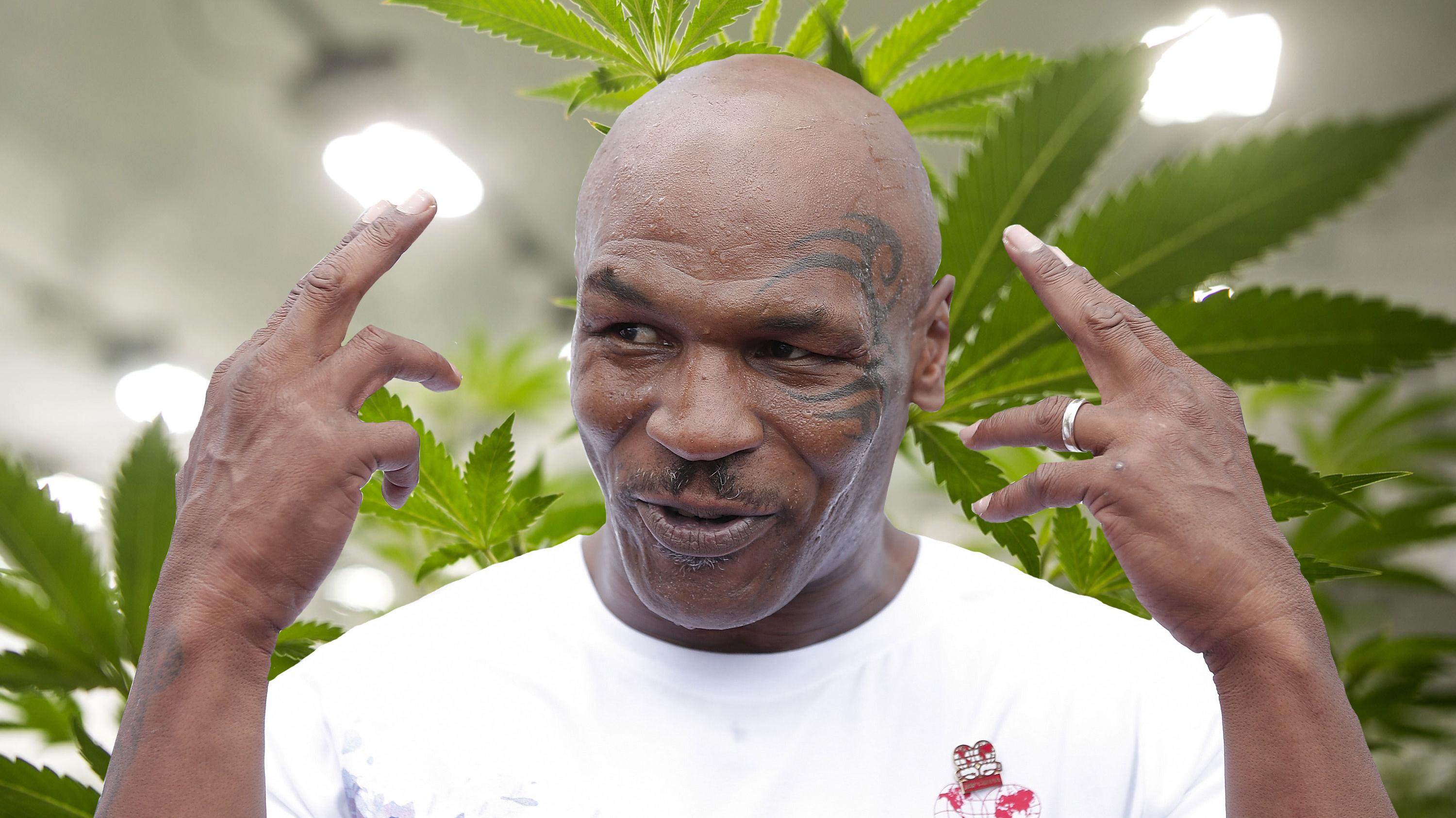 DMAG | Mike Tyson: rey de la marihuana
